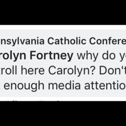 Catholic Church’s Lobbying Arm in PA Calls Sex Abuse Victim “Troll” on Facebook