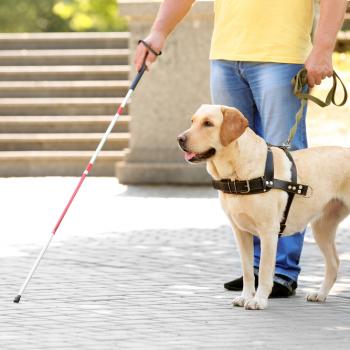 South Carolina Church Kicks Out Blind Man for Having Service Dog At His Side