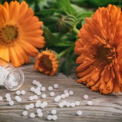 Hundreds of Shameless Hucksters Say There’s a Homeopathic “Treatment” for Autism