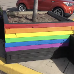 Calgary Preacher: A Rainbow With Six Colors is “a Lie from the Pit of Hell”
