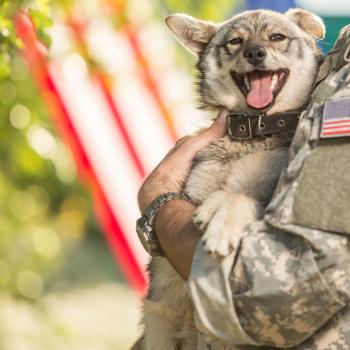 Christian Hater Condemns Group for Blocking Military Dogs from Going to Heaven