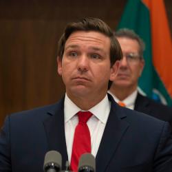 On the One Hand, Florida Governor Ron DeSantis is a Dimwit