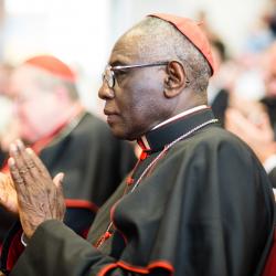Catholic Kerfuffle Erupts Over Cardinal’s Signature on COVID Conspiracy Letter