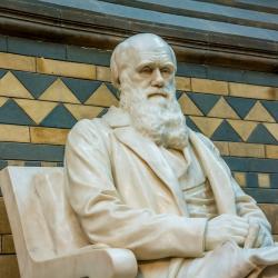 Ken Ham Calls on “Cancel Culture” to Scrub Darwin (and Evolution) from Science