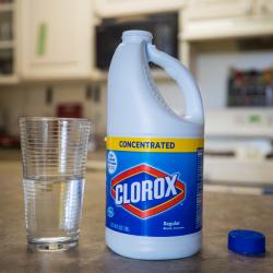 Ecuadoran Catholic Bishops Petition for Bleach Treatment to Combat COVID-19