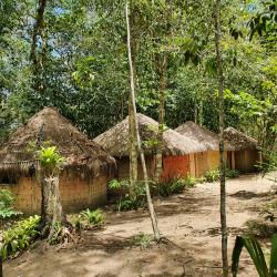 Despite COVID, Christian Missionaries Are Targeting Indigenous Peoples in Brazil