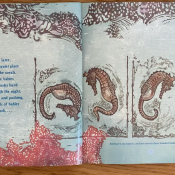 Right-Wing “Moms” Whine About Children’s Book Featuring Mating Sea Horses