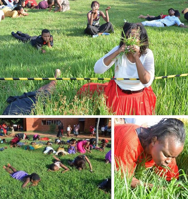South African Pastor Reportedly Orders His Congregation To Eat Grass; Terminates ‘Demonic Pregnancy’