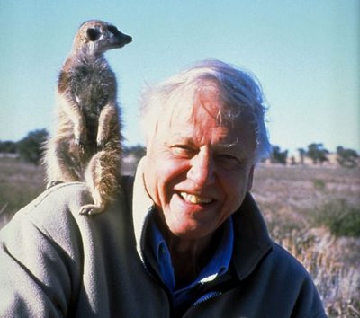 Naturalist Sir David Attenborough Loses His Patience With Bible Literalists
